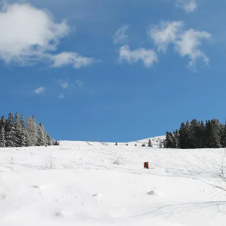 Chalet Koralpe Almrausch *