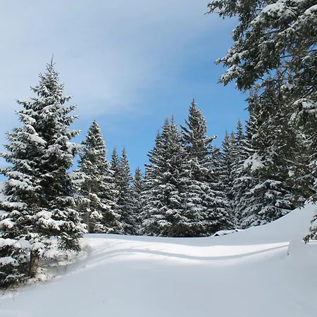 Koralpe Almrausch * Frantschach-Sankt Gertraud