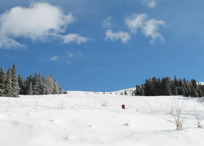 Domek alpejski Koralpe Almrausch *