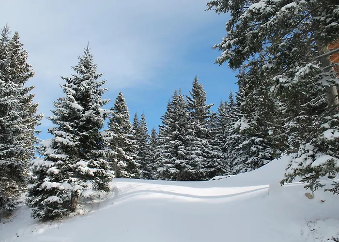 Koralpe Almrausch * Frantschach-Sankt Gertraud