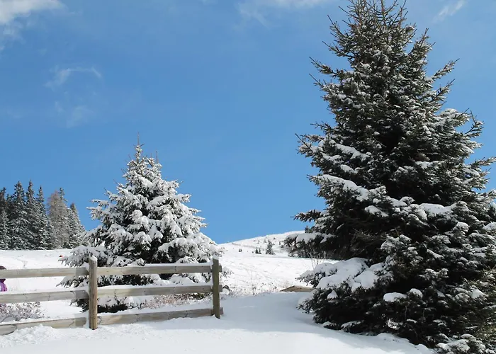 Koralpe Almrausch Domek alpejski