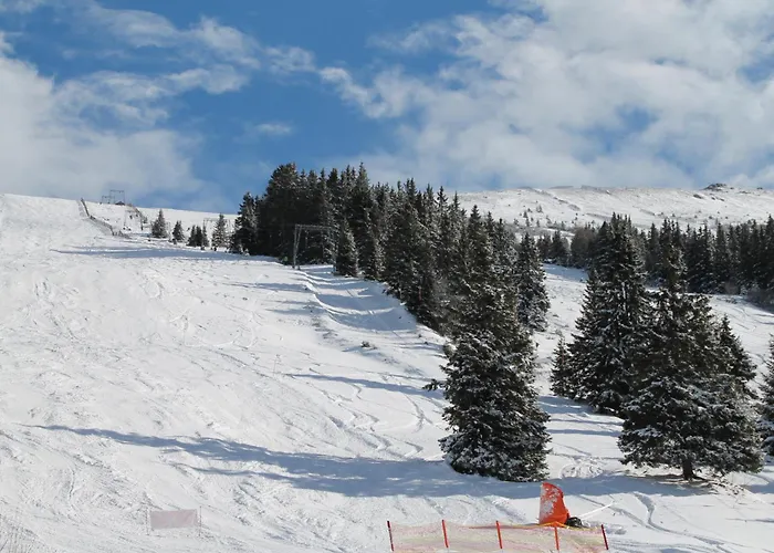 Koralpe Almrausch Domek alpejski *